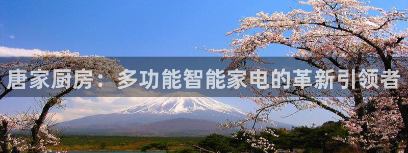 风暴娱乐官方网站