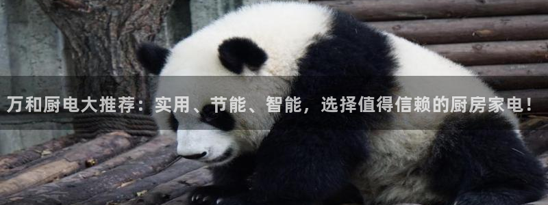风暴娱乐部