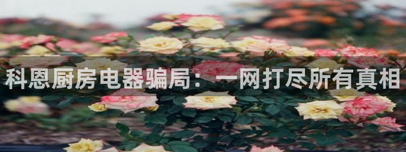 风暴娱乐有5指尖