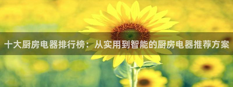 风暴眼娱乐
