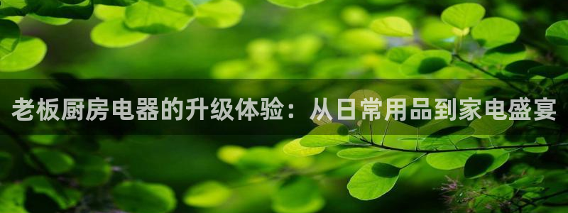 风暴英雄娱乐