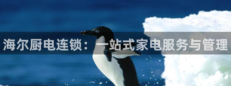 风暴娱乐实况
