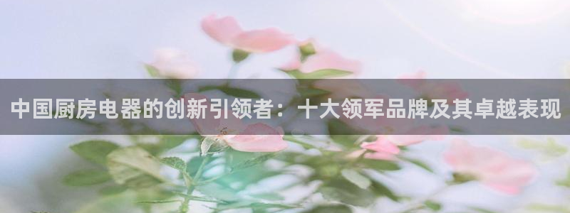 风暴娱乐客服