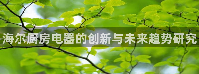 风暴娱乐汇
