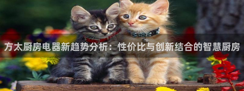 风暴英雄娱乐