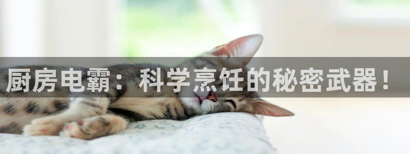 风暴娱乐实况