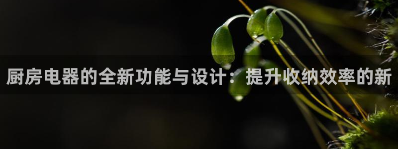 风暴娱乐拉菲8