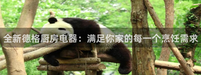 风暴娱乐记
