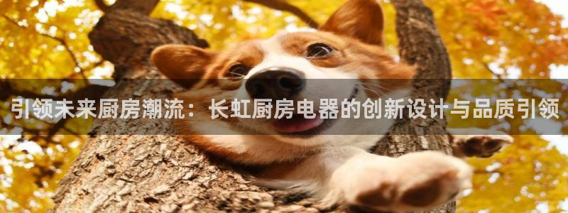下载风暴娱乐