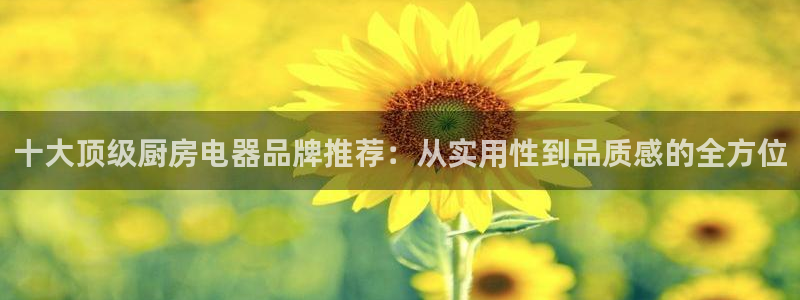 风暴娱乐老板