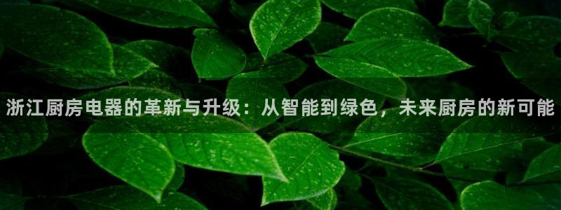 风暴娱乐主页