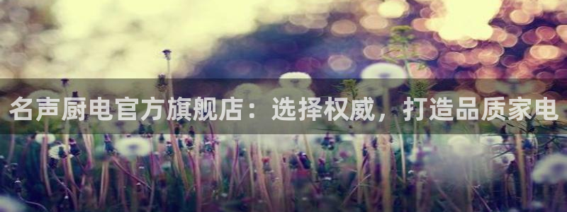 风暴娱乐部