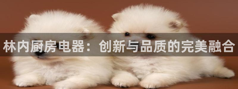 风暴娱乐右5指尖