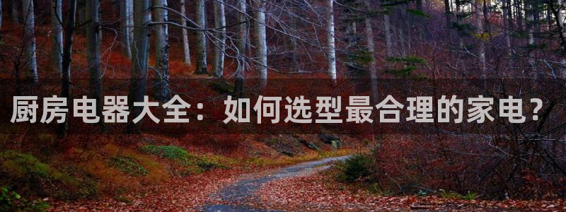 风暴娱乐线路