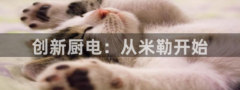 风暴娱乐5O6917