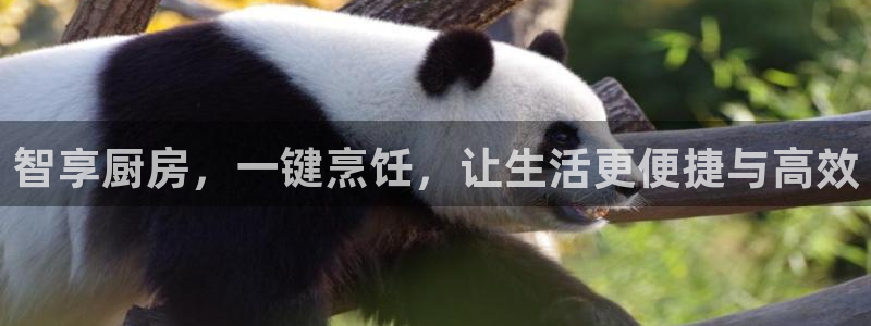 娱乐风暴开头
