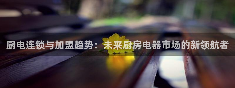 菲律宾风暴娱乐集团