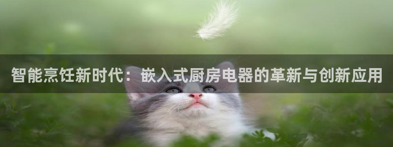 风暴娱乐左5指尖