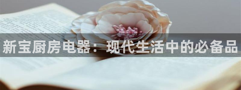风暴娱乐点