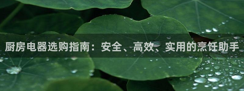 风暴娱乐去人l8888