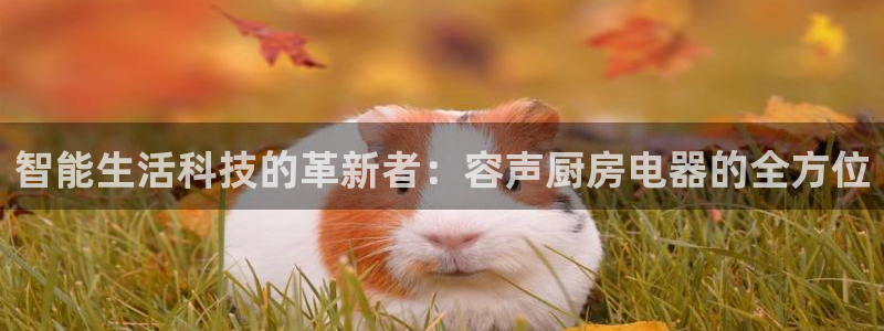 风暴娱乐5O6917
