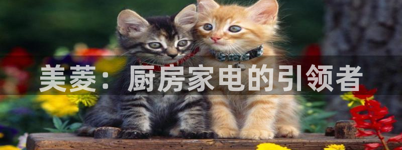 星风暴娱乐