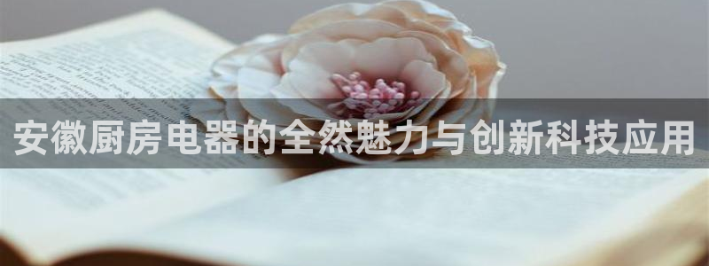 风暴娱乐部