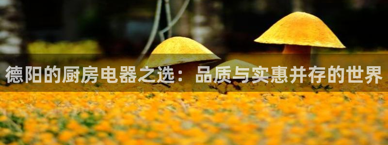 风暴娱乐眼
