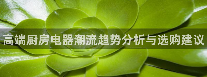 风暴娱乐40996
