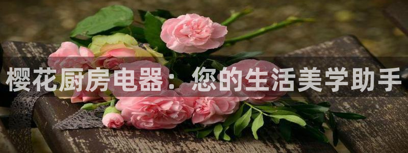 风暴娱乐套路