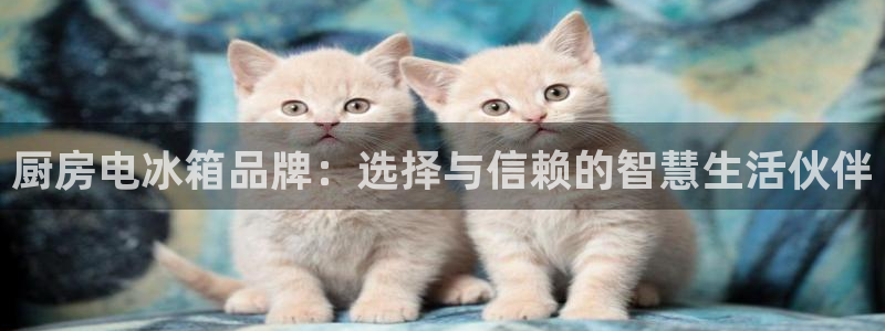娱乐星空风暴