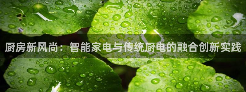 风暴娱乐网
