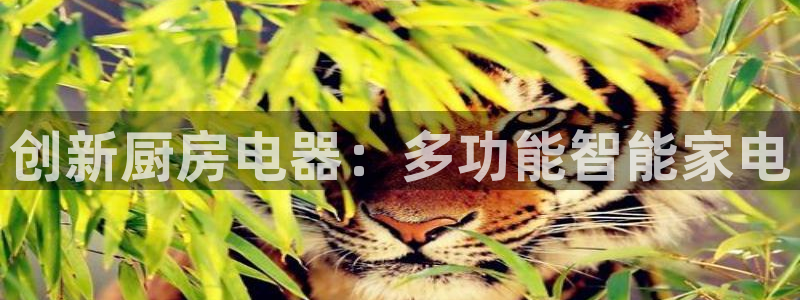 光风暴娱乐