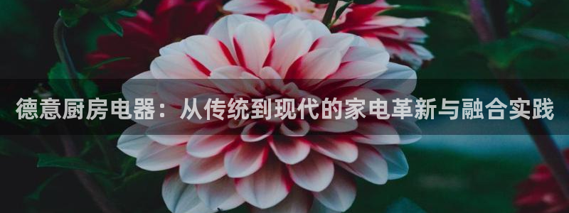 娱乐风暴App