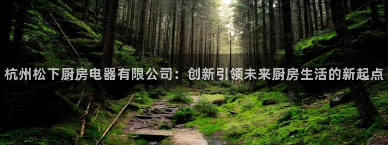 娱乐风暴开头