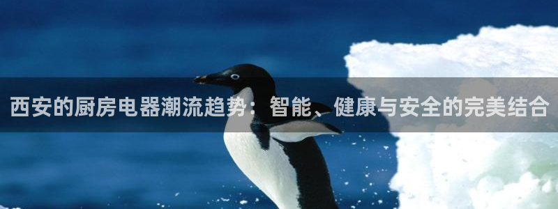 风暴娱乐待遇