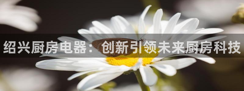 风暴官方娱乐