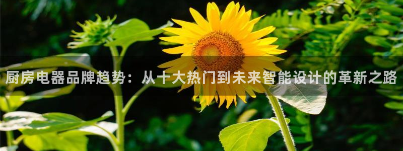 风暴娱乐5O6917
