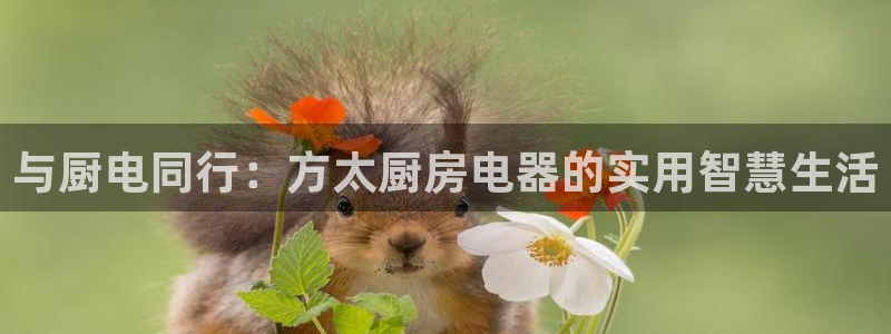 风暴娱乐待遇