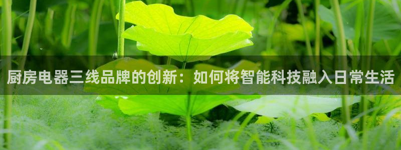 风暴娱乐344272