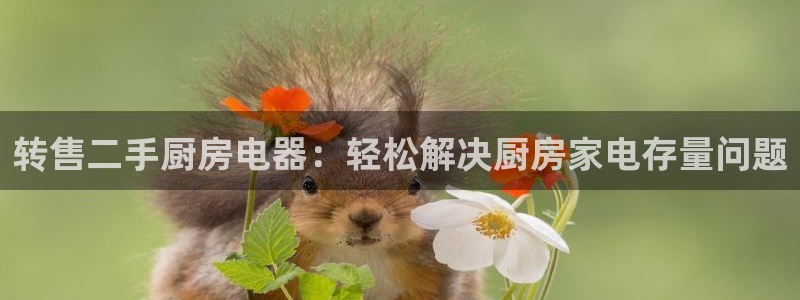 风暴娱乐上5指尖