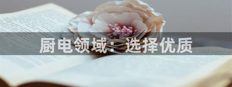 风暴娱乐平台地址