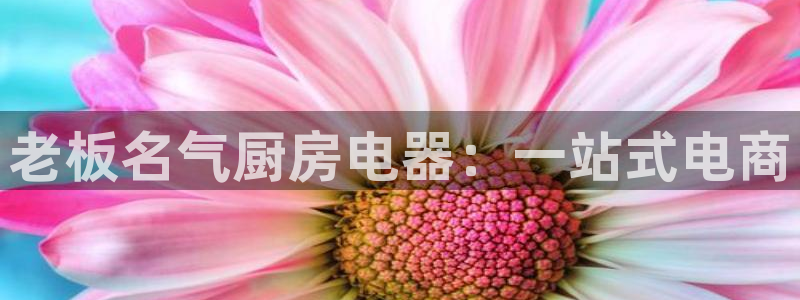 风暴娱乐字图片大全