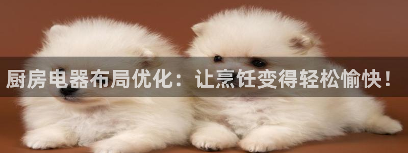 风暴娱乐字图片大全