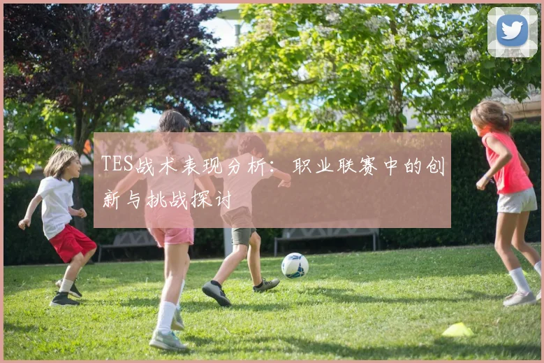 TES战术表现分析：职业联赛中的创新与挑战探讨